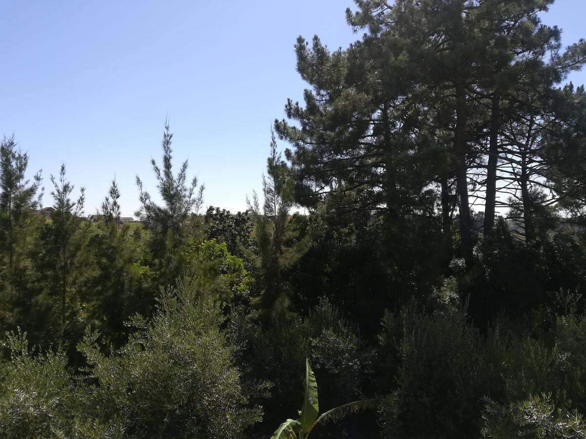 Quinta Vale Real Villa Alcobaça Kültér fotó