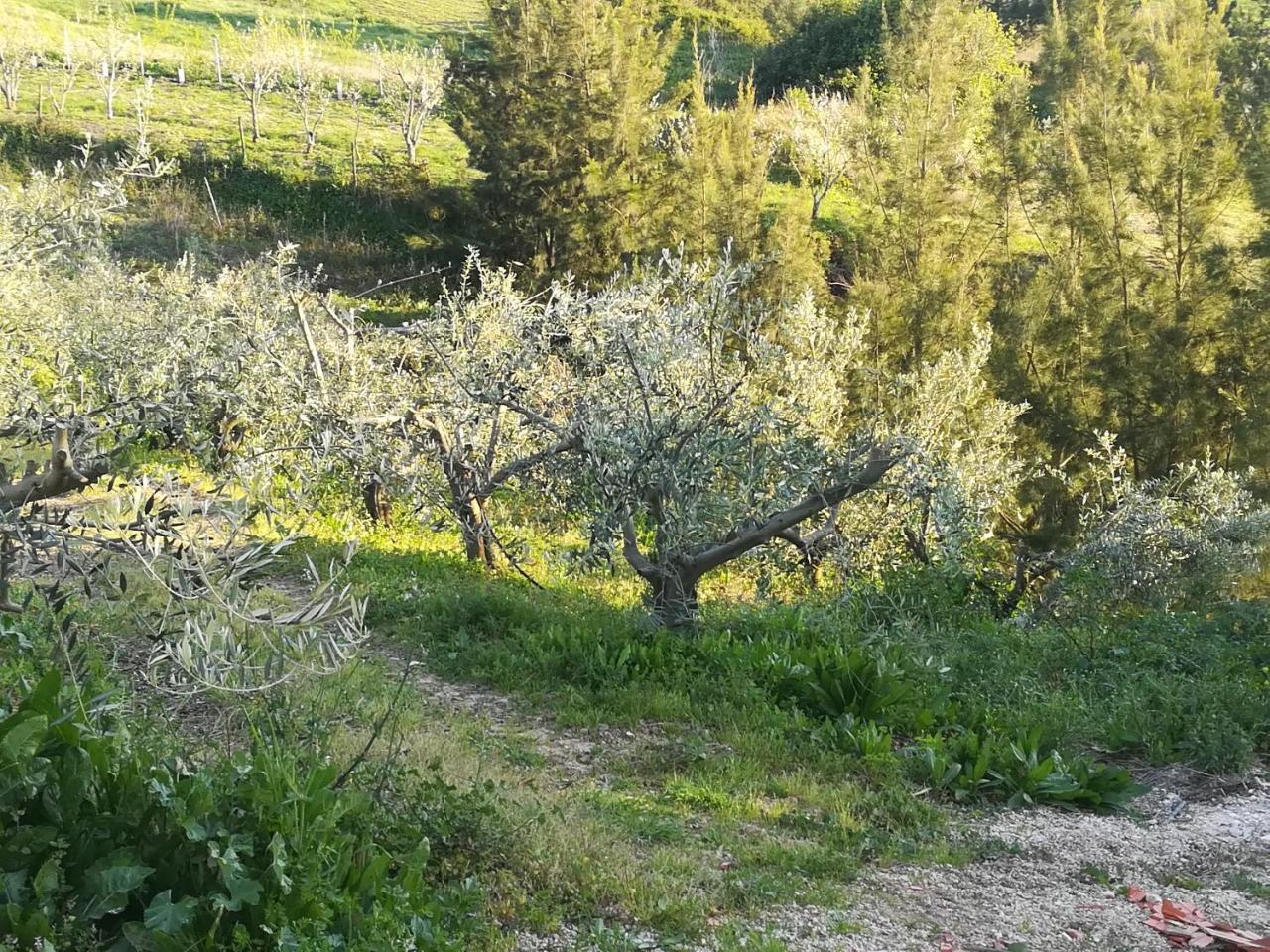Quinta Vale Real Villa Alcobaça Kültér fotó